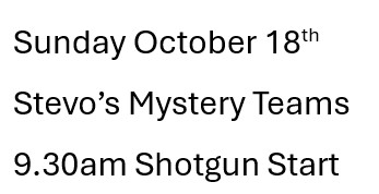 stevosmysteryteamsheader.jpg